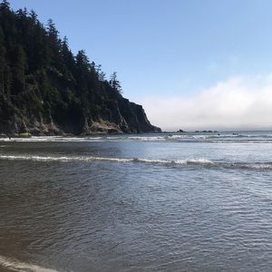 Meet your Posher, Ang